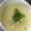 MlKIちゃん's cooksnap of when they made 鶏肉だけの絶品スープ♪.