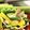 ゆか＊みく's cooksnap of when they made オクラとベーコンバター炒め.
