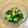 ひろママ✴︎'s cooksnap of when they made 簡単‼️胡瓜の塩昆布漬け.