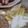 reyca2's cooksnap of when they made ドイツのあの味＊美味しいホワイトアスパラ.