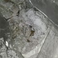 kinkinsan's cooksnap of when they made 簡単粉まぶし.