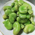 元気ちょび's cooksnap of when they made 和食の基本☆ソラマメの茹で方.