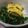 あゆたっくん's cooksnap of when they made ほうれん草のさっぱり和え.