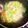 株式会社やまうち's cooksnap of when they made 風邪を曳いて食欲が無い時に優しいお鍋☆.