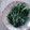 ごーあい's cooksnap of when they made ほうれん草のおひたし　決定版.