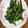 けい♫'s cooksnap of when they made さやいんげんの胡麻和え＊冷凍＊.