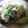 クックW0QY9S☆'s cooksnap of when they made 小松菜とベーコンの卵炒め.