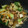 Jeeet's cooksnap of when they made 厚揚げと青梗菜のうま煮丼.