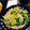 きーちゃん（＾∇＾）'s cooksnap of when they made えのきとブロッコリーのたらこ和え.