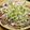 ちべターリー's cooksnap of when they made 鰹のカルパッチョ.