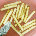 カズっくま's cooksnap of when they made ♪簡単ごぼうの皮むき♪.