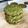 Sugar☆eyes's cooksnap of when they made 濃い抹茶のアメリカンクッキー.