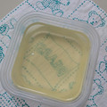 イチゴ、イチゴ。's cooksnap of when they made 【だしの取り方】かつおと昆布の二番だし.