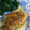 マリじゃん's cooksnap of when they made 鮭のムニエル☆秘密のソース.
