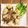 ミトン母ちゃん's cooksnap of when they made キノコと鶏むね肉のオイスター炒め.