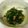 クックL8U9HI☆'s cooksnap of when they made 春菊とシーチキンの超簡単小鉢.