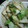 ranmao☆'s cooksnap of when they made ☆残り物で☆レタスとちくわとじゃこ炒め.