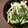 クックQ1UMSY☆'s cooksnap of when they made 簡単！さっぱり♪キュウリとワカメの酢の物.