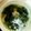 くちびるパパ's cooksnap of when they made わかめスープ.