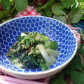もりあん農園's cooksnap of when they made 旬を食べたい！生ワカメとワケギの酢味噌.