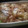 oO霄Oo's cooksnap of when they made たたき長いものチーズ揚げ焼き.