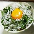 亜矢佳's cooksnap of when they made しらす丼.
