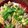 りく君まま's cooksnap of when they made 簡単！ヘルシー！豚丼.