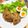 Pアゲ子's cooksnap of when they made ズボラでもできる手抜き簡単ミートローフ.