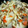 ゆこPIN's cooksnap of when they made 田舎のすいとん汁.