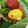 まめ39's cooksnap of when they made 梅ごましおで☆うずらの卵のひよこちゃん.
