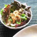 よこ耳ねこ's cooksnap of when they made ◆ぽん酢ドレで◆揚げ玉とちくわのサラダ.