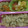 さぁ★たぁ★'s cooksnap of when they made 簡単☆いわしの炊き込みご飯.