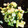 kotaro0329's cooksnap of when they made 鶏がらスープの素だけ　セロリの中華風炒め.