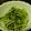 labi's cooksnap of when they made 柚子胡椒で三つ葉のおひたし.