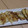 きらり流れ星's cooksnap of when they made たけのこのオイスターソース焼き☆.