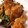 あいこぷん's cooksnap of when they made お弁当にも　鶏むね肉の簡単マヨ醤油焼き！.