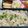 クックdm♡'s cooksnap of when they made 昆布茶で味付け簡単♪ツナ缶の炊き込みご飯.
