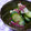 ピンクのたまご's cooksnap of when they made 大根ときゅうりの紅しょうがポン酢和え.