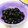 cocoりえ's cooksnap of when they made 我が家のつやつや黒豆.