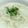 hjtomama's cooksnap of when they made 鶏とホタテのほっこり中華粥.