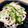 Aloha☆★'s cooksnap of when they made もやしの酢の物　糖質制限も出来る　.
