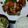 ＤＡ！'s cooksnap of when they made 鶏肉の柚子こしょう焼き.
