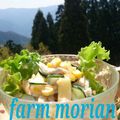 もりあん農園's cooksnap of when they made ❁ちょっと中華なマカロニサラダ❁.