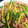 クックCLVII9☆'s cooksnap of when they made 豚肉ともやし炒め☆.