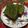 ラディ子's cooksnap of when they made 黒豆入り☆抹茶パウンドケーキ.