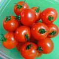 Cook★Robin's cooksnap of when they made しわしわにならないプチトマトの保存法☆.