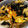 クックHU3WEL☆'s cooksnap of when they made 簡単！豚の卵とじ丼！.