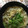 Miaaaaaaam's cooksnap of when they made えのき茸と塩こんぶのたまごスープ.