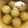 nonkodon's cooksnap of when they made ペコロスの白だし昆布茶煮.