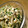 mikkusan's cooksnap of when they made もやしとニラの和え物☆ちょっとタイ風.